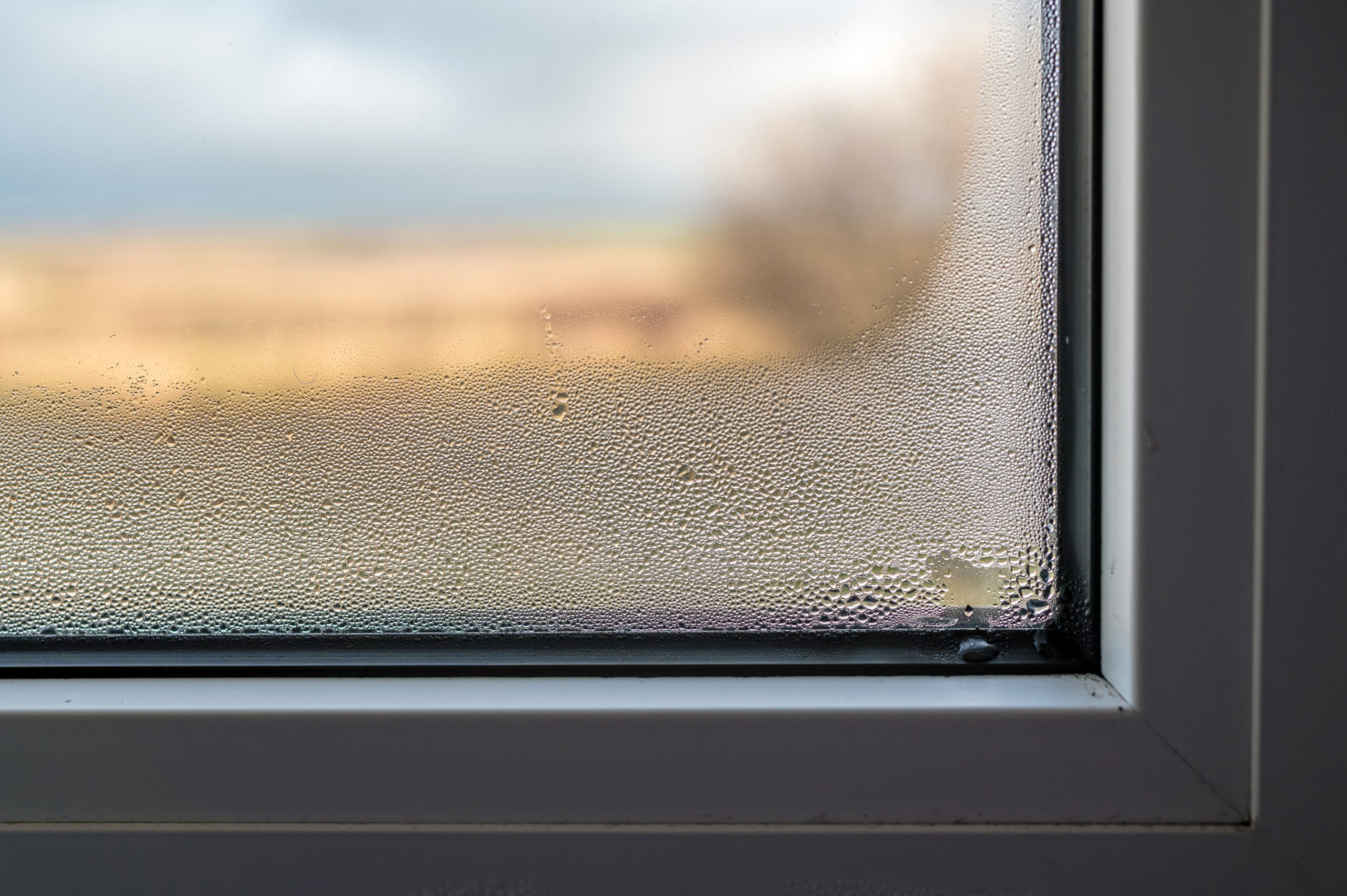Mold,formation,through,fogged,window,pane,due,to,poor,ventilation
