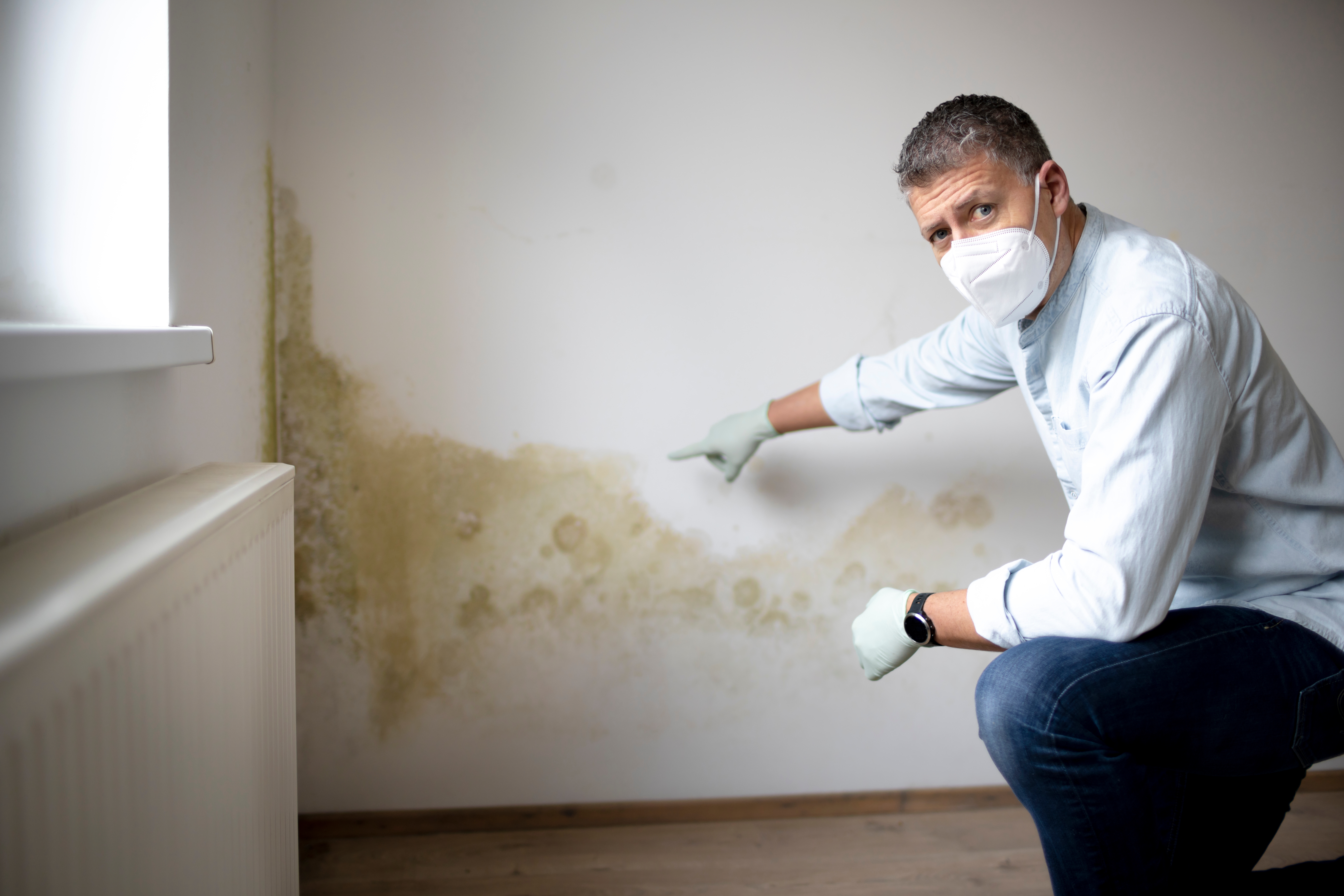 Man wearing a mask and gloves pointing at mould on the wall