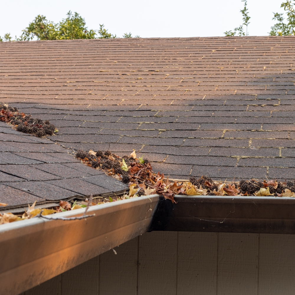 Home with Overflowing Gutters